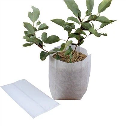 गैर बुना नर्सरी बैग